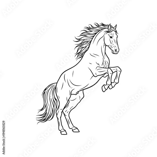 Prancing horse line drawing, rearing stallion, elegant animal illustration, white background
