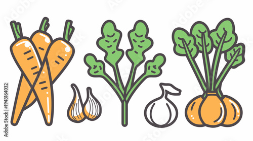 Whimsical hand-drawn style illustration of various root vegetables arranged side-by-side