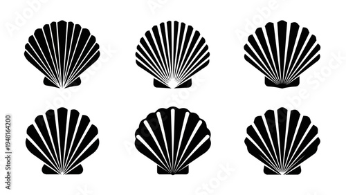 Scallop Shells Pattern Graphic Design