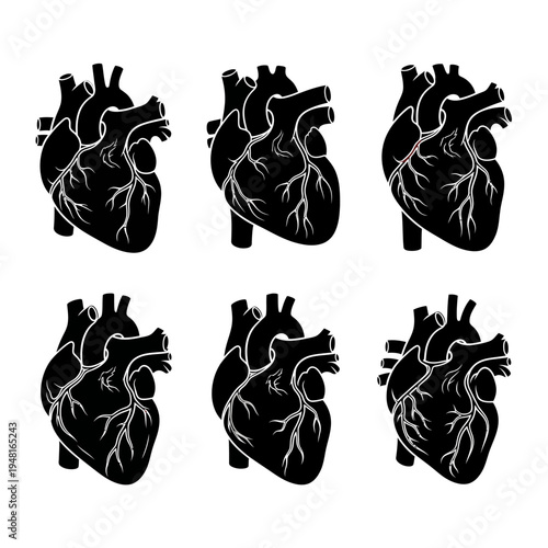 Six Anatomical Hearts Black Silhouettes on White Background