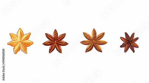 Four star anise seed pods, in a row, colored from light yellow to dark brown
