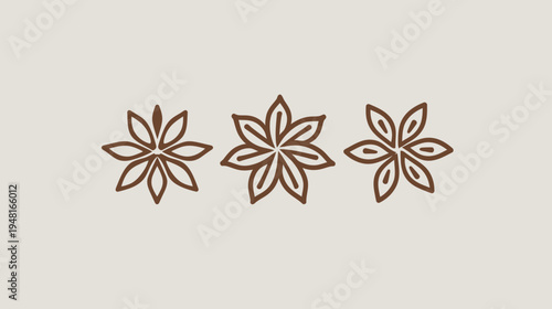 Three brown star anise outlines on a beige backdrop in a horizontal arrangement