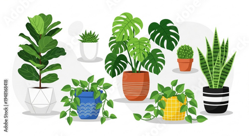 Collection of diverse houseplants in colorful pots on white background for home decor and gardening inspiration
