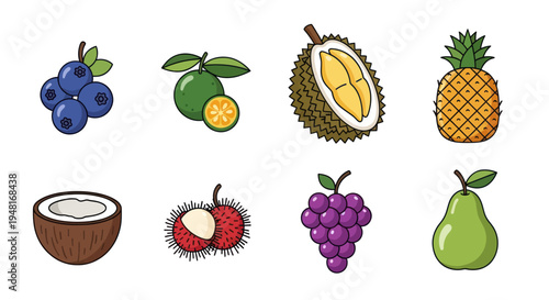 Colorful assortment of fresh tropical fruits