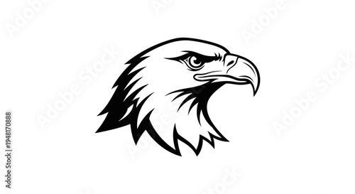 Detailed illustration of eagle head.