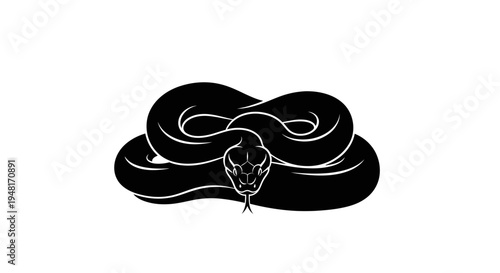 Black snake coiled in aggressive stance.