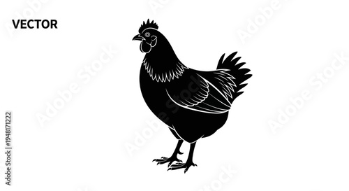 Black Silhouette of a Rooster Bird.