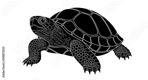 Turtle Walking on Land Slowly Alone.