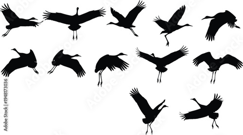 Flying Crane Bird Silhouettes Collection Showing Graceful Long Legged Migratory Birds in Different Flight Poses Isolated for Wildlife, Nature, Wetland and Bird Design