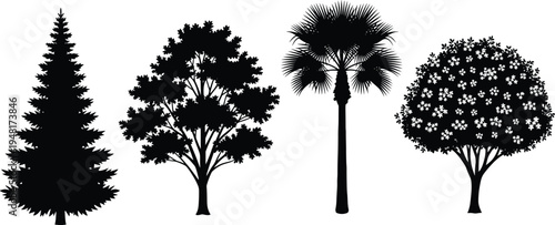 Black Tree Silhouette Set Including Conifer Pine Deciduous Oak Tropical Palm and Flowering Fruit Tree Isolated on White Background Vector Illustration