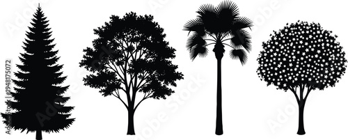 Black silhouette of trees collection featuring pine spruce oak palm and blossoming deciduous tree isolated on white background for nature design.
