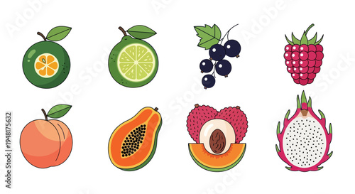 Colorful vector illustration of various fruits