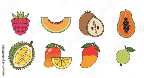 Colorful vector illustration of various fruits