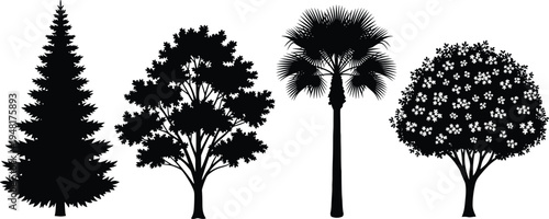 Set of four black tree silhouettes including pine oak palm and flowering fruit tree isolated on white background for nature design