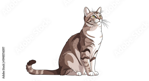 Tabby cat illustration looking up