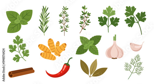 Culinary herbs and spices collection