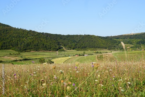 Fotografi Travel romania transilvania targu mures transylvania rural landscape with wildfl