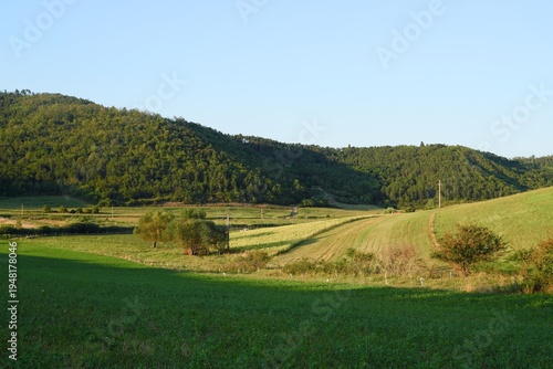 Quadro su tela Travel romania transilvania targu mures green hills and cultivated fields in tra