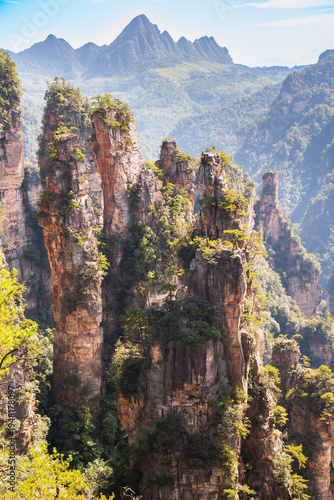 Canvas Print Avatar mountains in Zhangjiajie, China