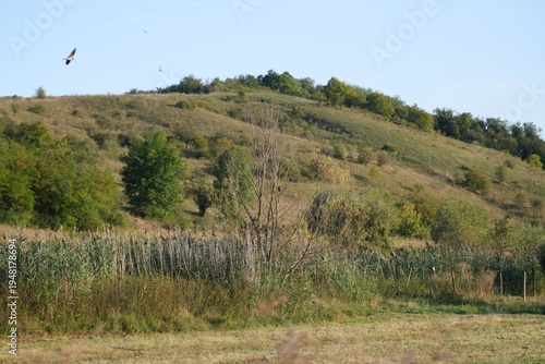 Photography Travel romania transilvania targu mures rural landscape in transylvania with fly