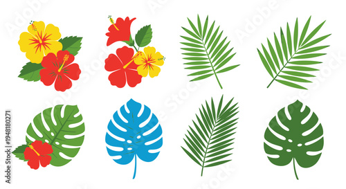 Set of Tropical Leaves and Hibiscus Flowers Vector Illustration Isolated on White Background