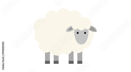 Flat vector illustration of a cute fluffy white sheep standing isolated on a white background