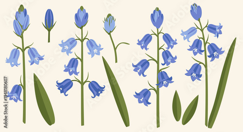 Vector Set of Bluebell Flowers and Botanical Elements, Hand Drawn Spring Wildflowers with Buds and Leaves Isolated on Light Background