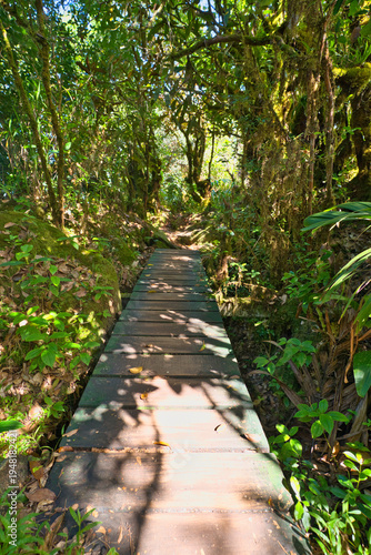 фотографія seychelles, mahe island, glacis la reserve, nature trail, wooden bridge, broken