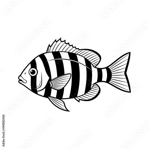 A black and white drawing of a striped fish