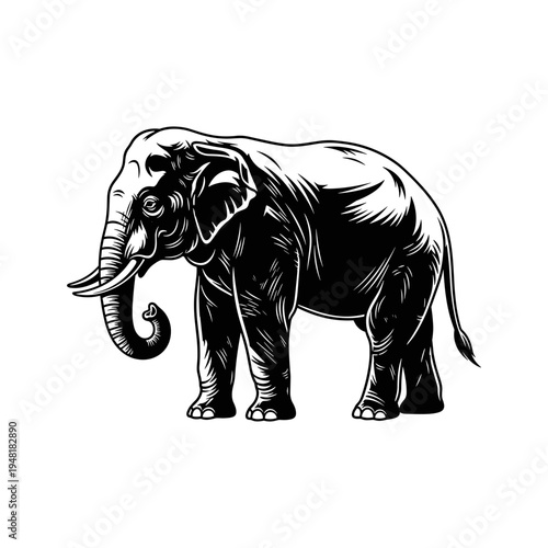 A black and white drawing of an elephant standing still