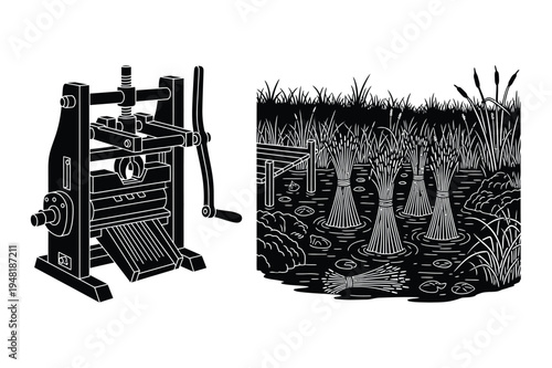 Vintage agricultural press and water reeds illustration