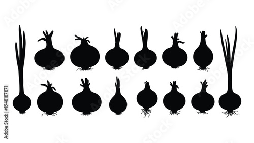 A comprehensive analysis of onion silhouettes in a graphic representation