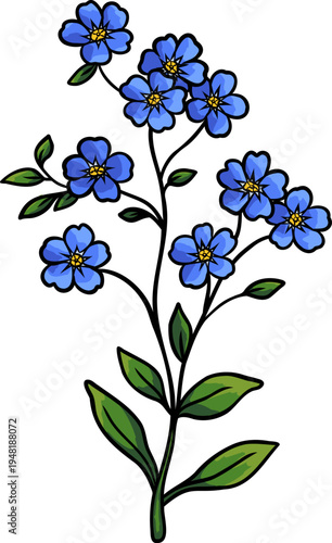 Blue forget me not wildflower with small blossoms and green leaves botanical illustration isolated on white background perfect for botanical print, floral design