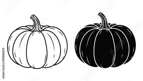 A detailed analysis of a black and white pumpkin illustration featuring two distinctive gourds