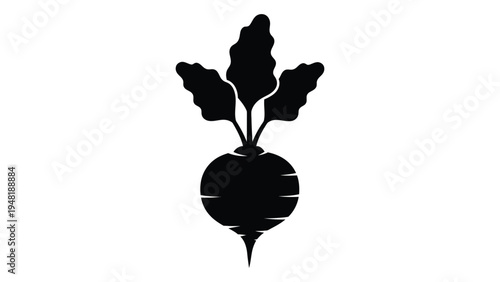 A simple yet detailed silhouette of a beetroot plant with leaves on a white background illustration