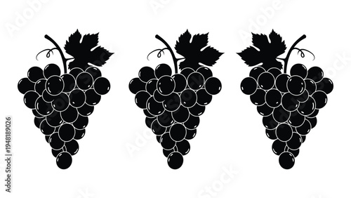 A detailed analysis of a digital illustration featuring three bunches of grapes with leaves on a white background, representing a stylized fruit icon set