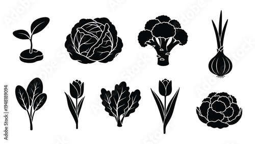 A comprehensive analysis of vegetable and flower illustrations in a single image