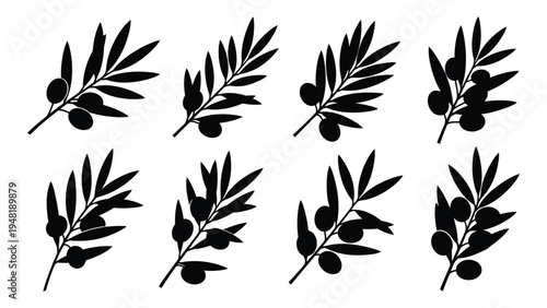 A detailed analysis of an olive branch illustration featuring multiple leaves and fruits in a simple yet elegant black and white design