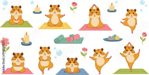 Cute hamster yoga cartoon vector set funny animal meditation characters doing fitness poses wellness lifestyle illustration