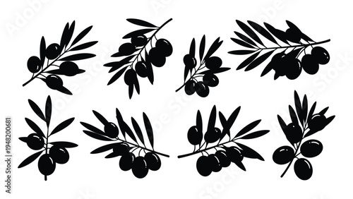 A collection of olive branches with leaves and fruits in black silhouette on white background for illustration and design