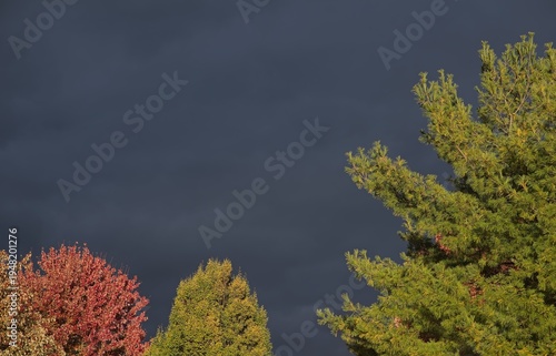Photos AutumnWeather 1