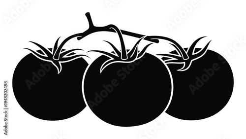 A detailed analysis of a black and white image of three tomatoes on a vine with their leaves and stems intact, presented in a simple yet elegant silhouette style.