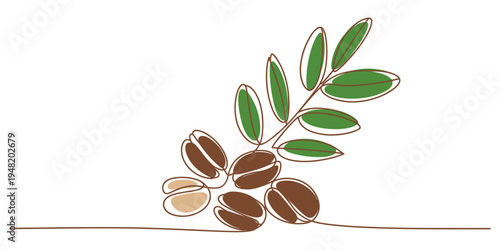 Minimalist continuous line drawing of roasted coffee beans attached to a fresh green leaf branch Vector, illustration
