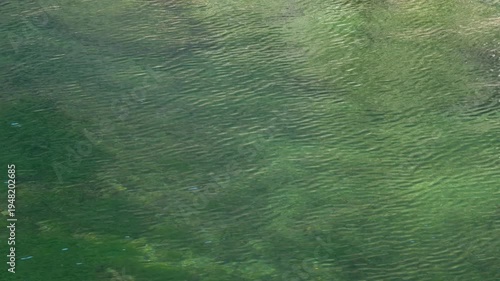 清流の水面に春風が吹き波紋が出来るスローモーション4