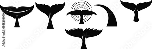 Whale Tail Silhouette Collection with Ocean Animal Fluke Shapes, Marine Wildlife Icons for Sea Life, Nautical and Nature Design