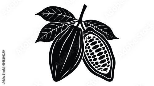 A detailed illustration of cacao pods with leaves, highlighting the texture and structure of the fruit, commonly used in chocolate production and tropical agriculture