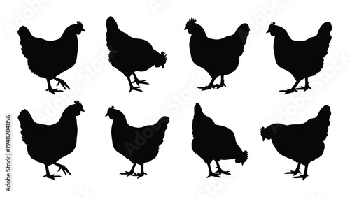 Detailed analysis of chicken silhouettes in various poses and angles