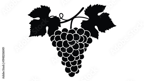 A detailed analysis of a black and white image of a bunch of grapes with leaves on a stem, showcasing a simple yet elegant representation of a fruit-bearing vine.
