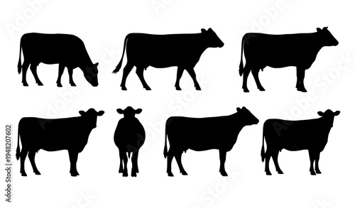 Farm Cattle Silhouette Row Vector Collection Dairy Livestock