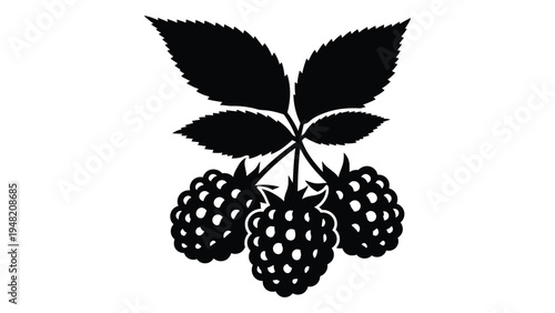 A black and white illustration of a cluster of three blackberries with leaves on a stem, a simple yet detailed depiction of a common type of fruit and its foliage